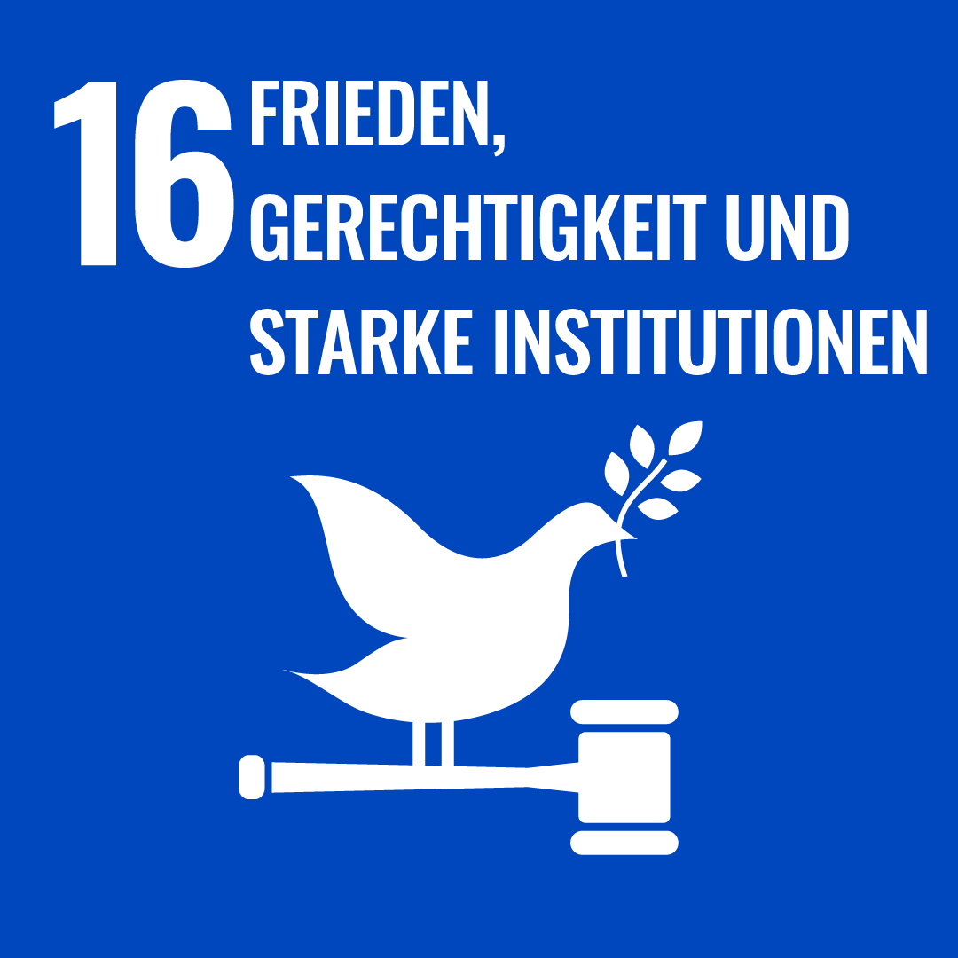 SDG 16