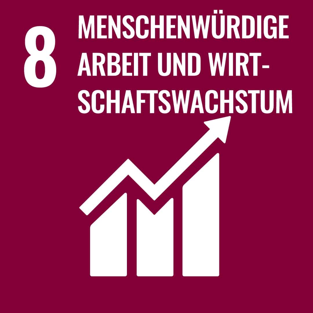 SDG 8